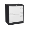2 Drawer Metal Lateral File Cabinet with Lock,Office Vertical Files Cabinet for Home Office/Legal/Letter/A4,Locking Metal File Cabinet,Assembly Requir