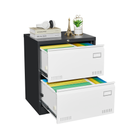 2 Drawer Metal Lateral File Cabinet with Lock,Office Vertical Files Cabinet for Home Office/Legal/Letter/A4,Locking Metal File Cabinet,Assembly Requir (Color: White+Black)