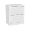 2 Drawer Metal Lateral File Cabinet with Lock,Office Vertical Files Cabinet for Home Office/Legal/Letter/A4,Locking Metal File Cabinet,Assembly Requir