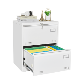 2 Drawer Metal Lateral File Cabinet with Lock,Office Vertical Files Cabinet for Home Office/Legal/Letter/A4,Locking Metal File Cabinet,Assembly Requir (Color: White)