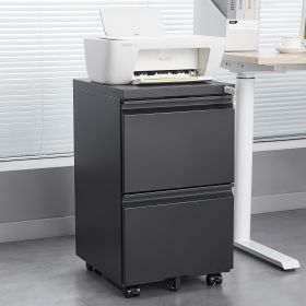 2 Drawer File Cabinet with Lock, Metal Under Desk Rolling Filing Cabinet fits Letter/Legal/A4 Size for Home Office, Mobile Filing Cabinet, Assemble Re (Color: Black)