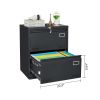 2 Drawer Metal Lateral File Cabinet with Lock,Office Vertical Files Cabinet for Home Office/Legal/Letter/A4,Locking Metal File Cabinet,Assembly Requir