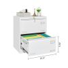 2 Drawer Metal Lateral File Cabinet with Lock,Office Vertical Files Cabinet for Home Office/Legal/Letter/A4,Locking Metal File Cabinet,Assembly Requir