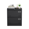 2 Drawer Metal Lateral File Cabinet with Lock,Office Vertical Files Cabinet for Home Office/Legal/Letter/A4,Locking Metal File Cabinet,Assembly Requir