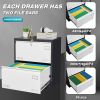 2 Drawer Metal Lateral File Cabinet with Lock,Office Vertical Files Cabinet for Home Office/Legal/Letter/A4,Locking Metal File Cabinet,Assembly Requir