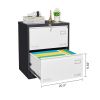 2 Drawer Metal Lateral File Cabinet with Lock,Office Vertical Files Cabinet for Home Office/Legal/Letter/A4,Locking Metal File Cabinet,Assembly Requir