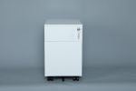 2 Drawer Mobile File Cabinet with Lock Metal Filing Cabinet for Legal/Letter/A4/F4 Size, Fully Assembled Include Wheels, Home/Office Design