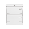 2 Drawer Metal Lateral File Cabinet with Lock,Office Vertical Files Cabinet for Home Office/Legal/Letter/A4,Locking Metal File Cabinet,Assembly Requir